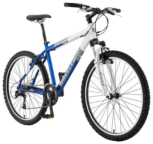 Велосипед WHEELER Pro 29 (2007)