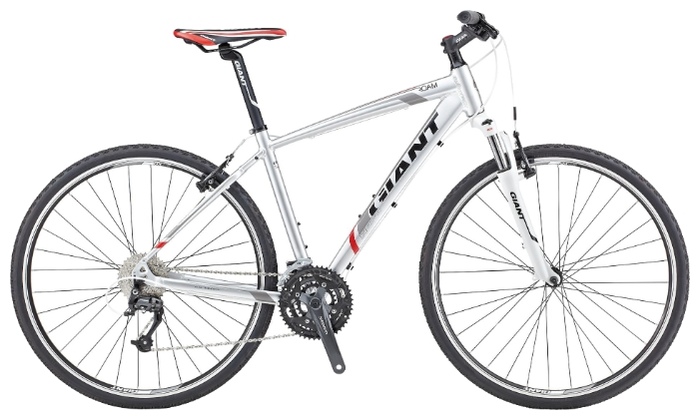 Велосипед Giant Roam 2 (2013)