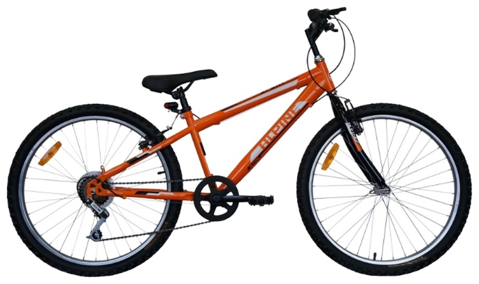 Велосипед Alpine Basic 24 (2013)