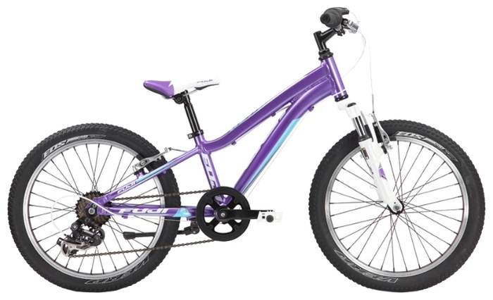 Велосипед Fuji Bikes Dynamite 20 G (2013)
