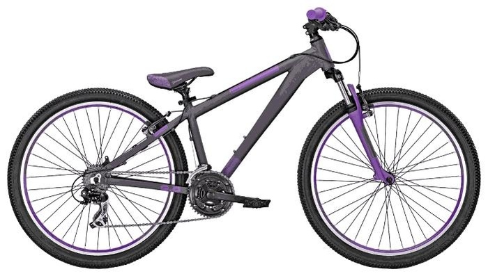 Велосипед Focus Dog Fish 5.0 (2014)