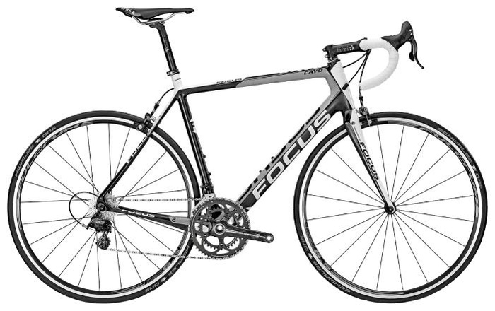 Focus cayo evo 2014 clearance