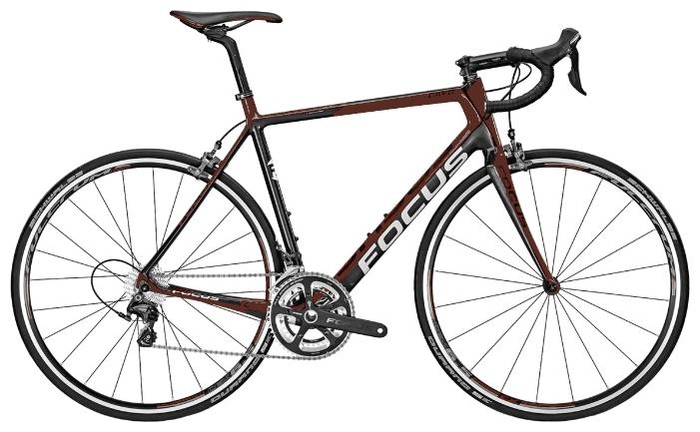Focus cayo evo 2014 clearance