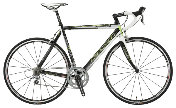 Велосипед Fuji Bikes Team Pro (2008)