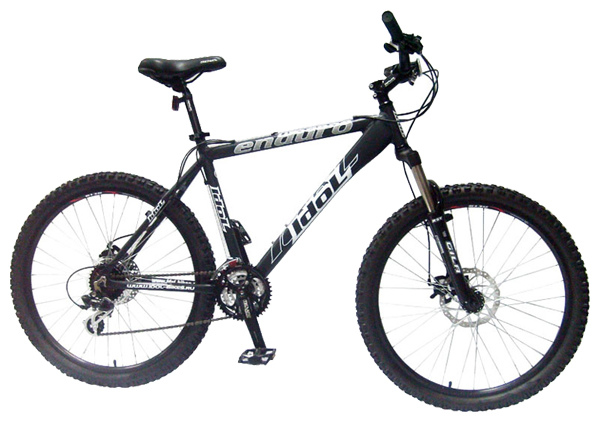 Велосипед IDOL BIKES Woodoo (2008)