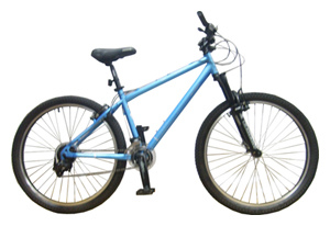Велосипед IDOL BIKES Shisha (2008)
