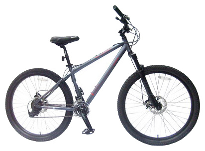 Велосипед IDOL BIKES Gashisha (2008)