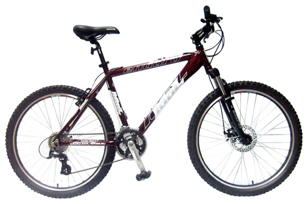Велосипед IDOL BIKES Zombie (2008)
