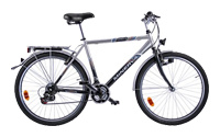 Велосипед PANTHER ECHO CITY 26 (M613)