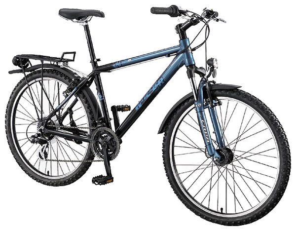 Велосипед WHEELER Pro 09 EQ (2008)