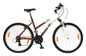 Велосипед WHEELER Pro 600 ZX Lady (2007)